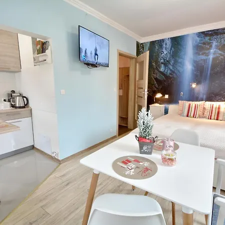 Apartament Podgorska Apartment Duszniki Zdroj